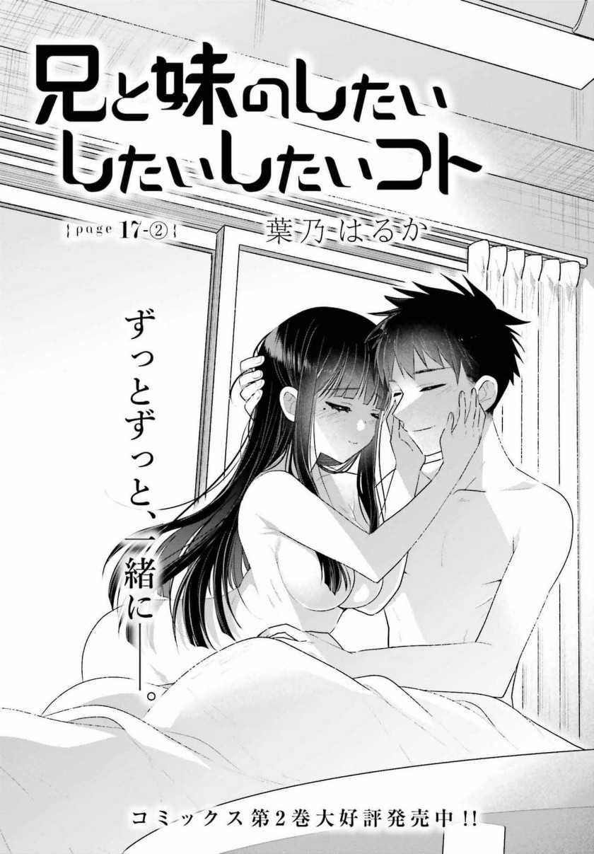 Ani to Imouto no Shitai Shitai Shitai Koto - Chapter 17.2 2
