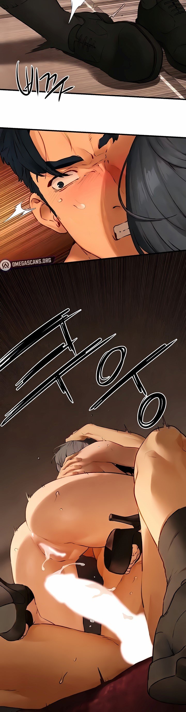 Moby Dick - Chapter 17 31