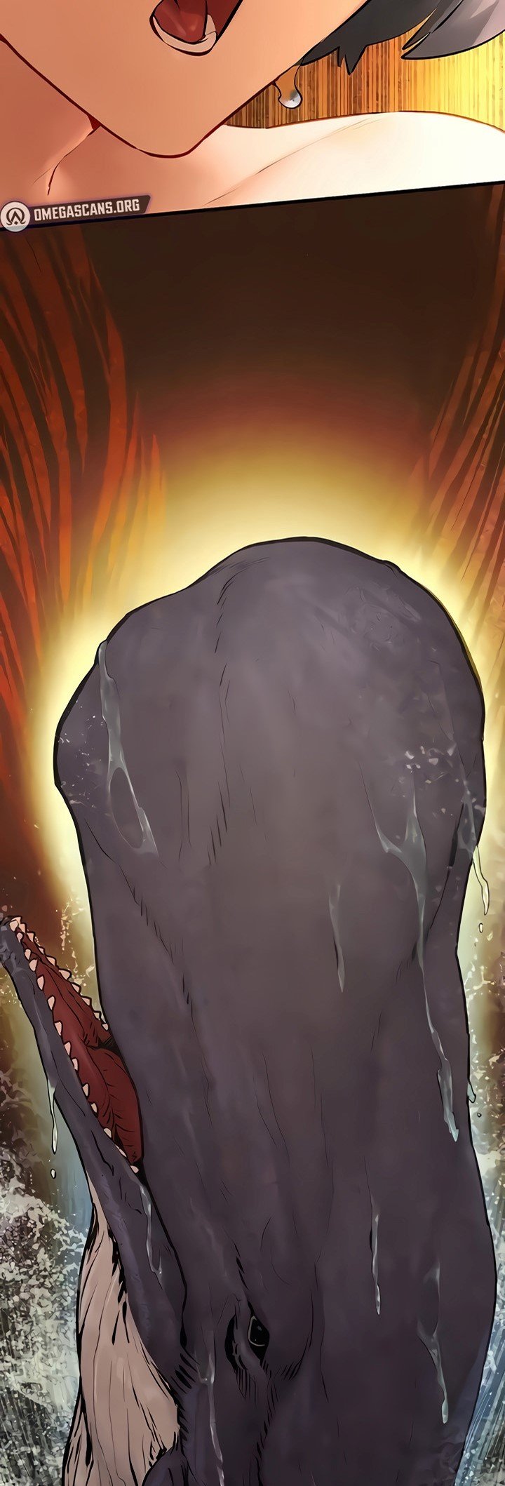 Moby Dick - Chapter 17 43