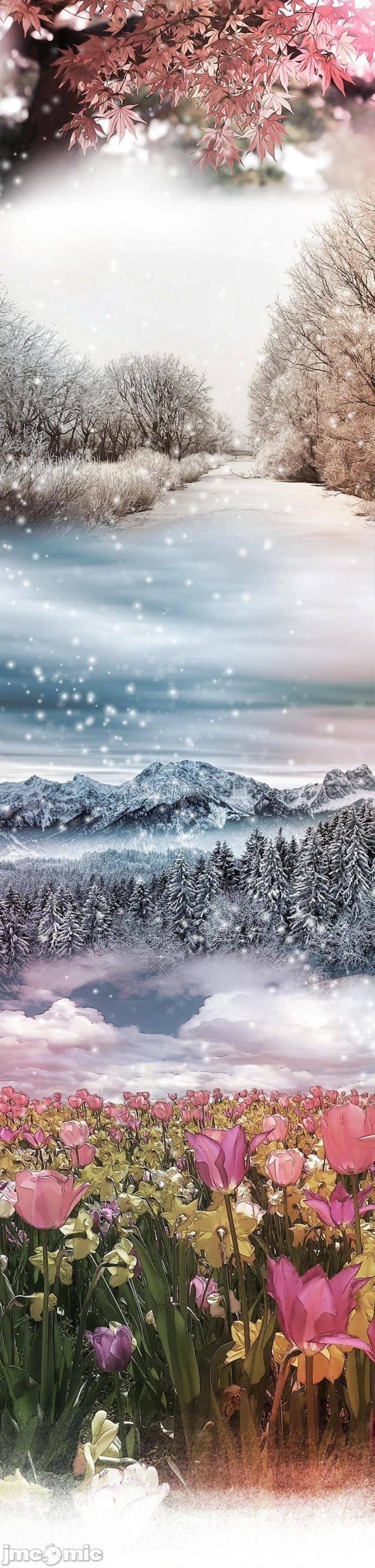 Concubine - Chapter 79 16