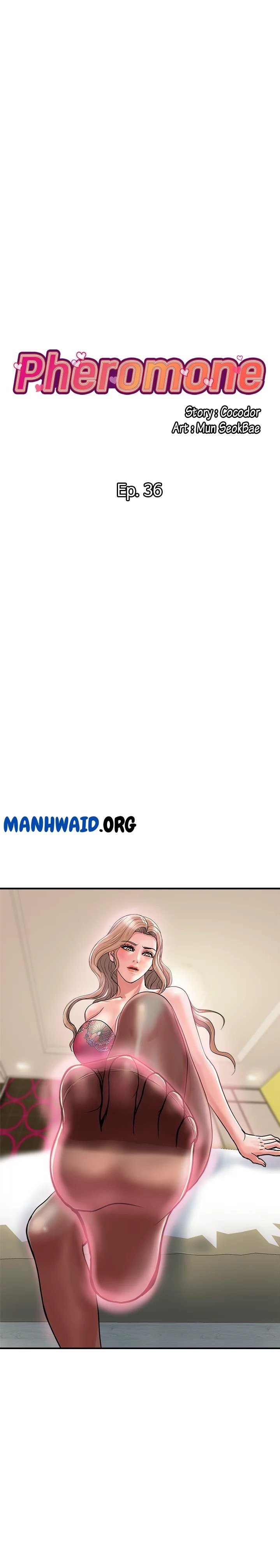 Pheromone - Chapter 36 2