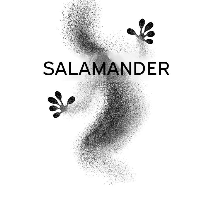 Salamander - Chapter 9 29