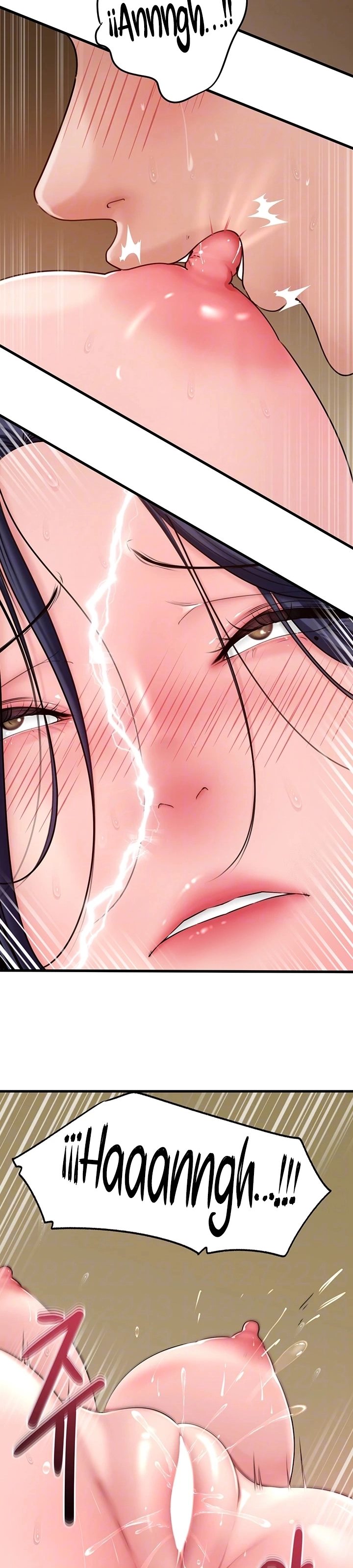 Not the Daughter, but the Mother - Chapter 43 12 Not the Daughter, but the Mother - Chapter 43 12